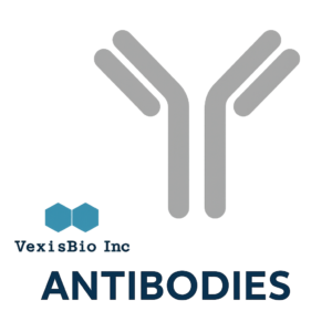 alpha Synuclein Antibody